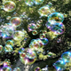 Illustration for article titled Weekend Experiment: How to set an invisible trap for soap bubbles